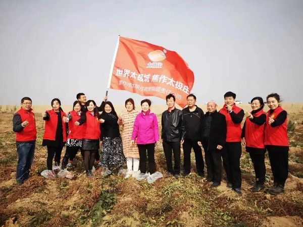 11月12日，眾人翹首以盼的太極莊山藥采挖活動在太極莊公司的溫縣·富硒鐵棍山藥標(biāo)準(zhǔn)化種植基地拉開帷幕